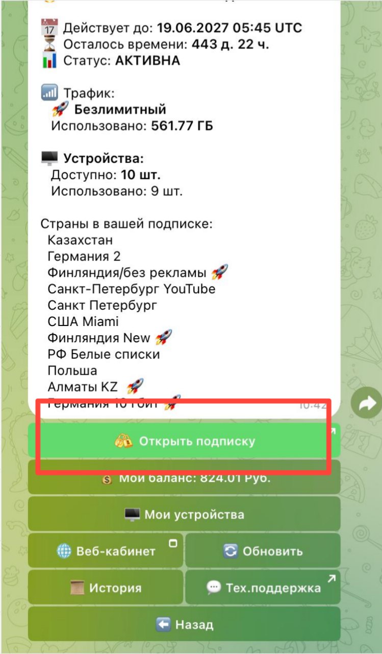 Шаг 4 — Открыть подписку